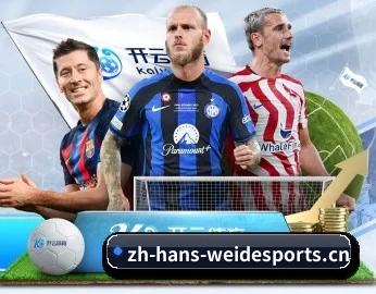 关于我们 - 体育资讯内容服务(WEIDE SPORTS)